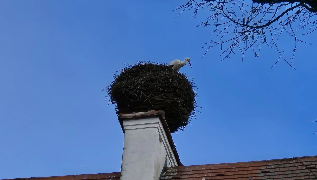 Der Storch ist auch schon da | © DAV Augsburg Senioren