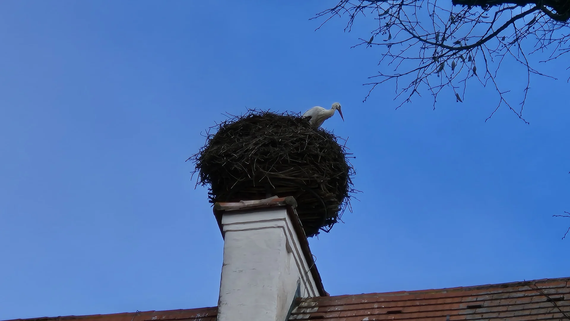 Der Storch ist auch schon da | © DAV Augsburg Senioren