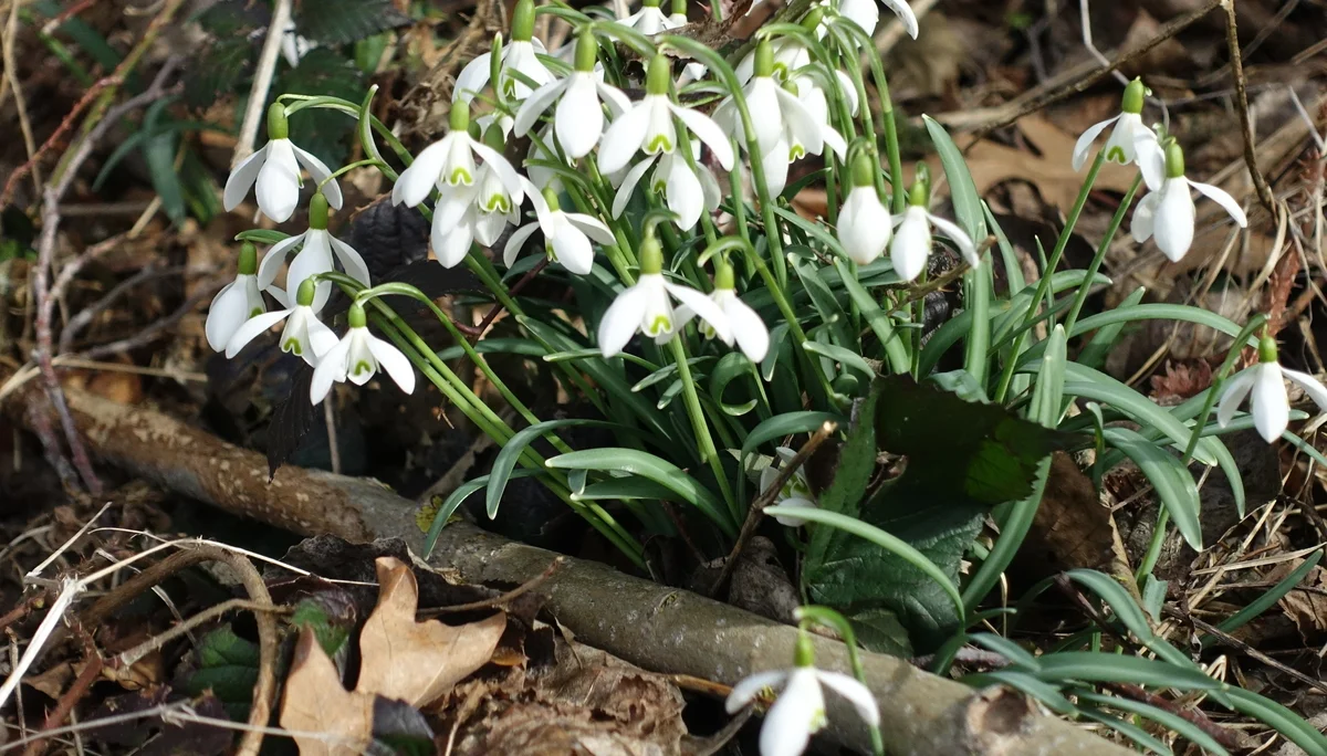 © DAV Augsburg Senioren