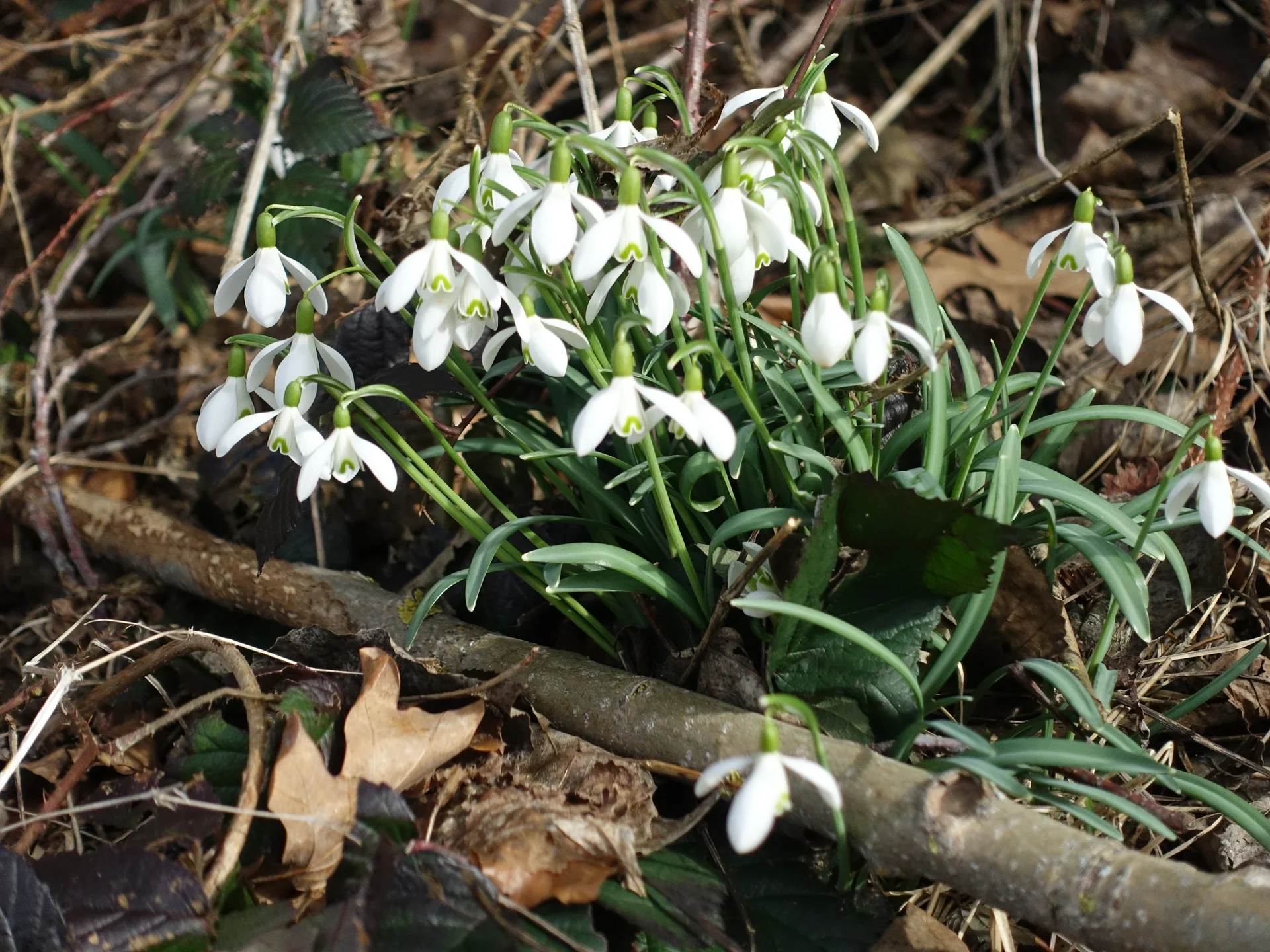 © DAV Augsburg Senioren