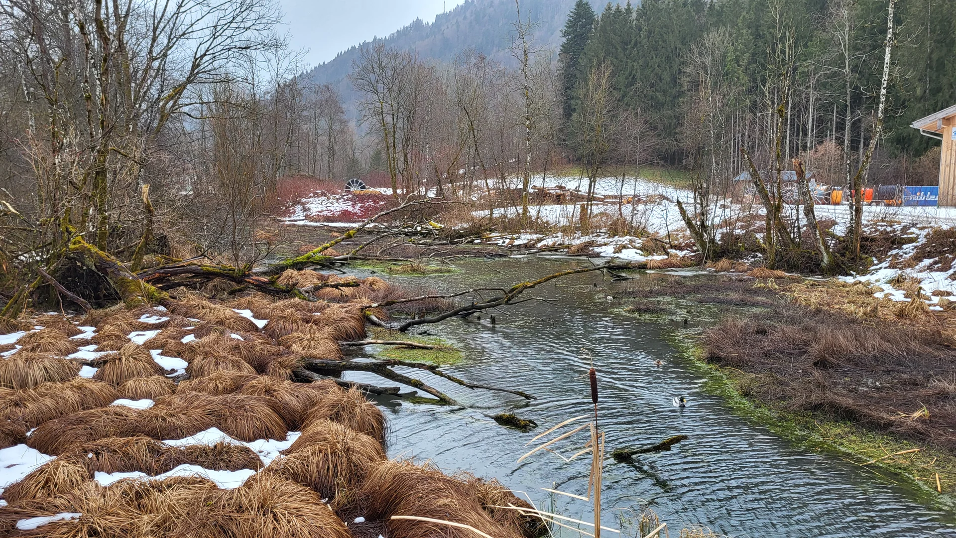 Tegernsee | © DAV Augsburg Senioren