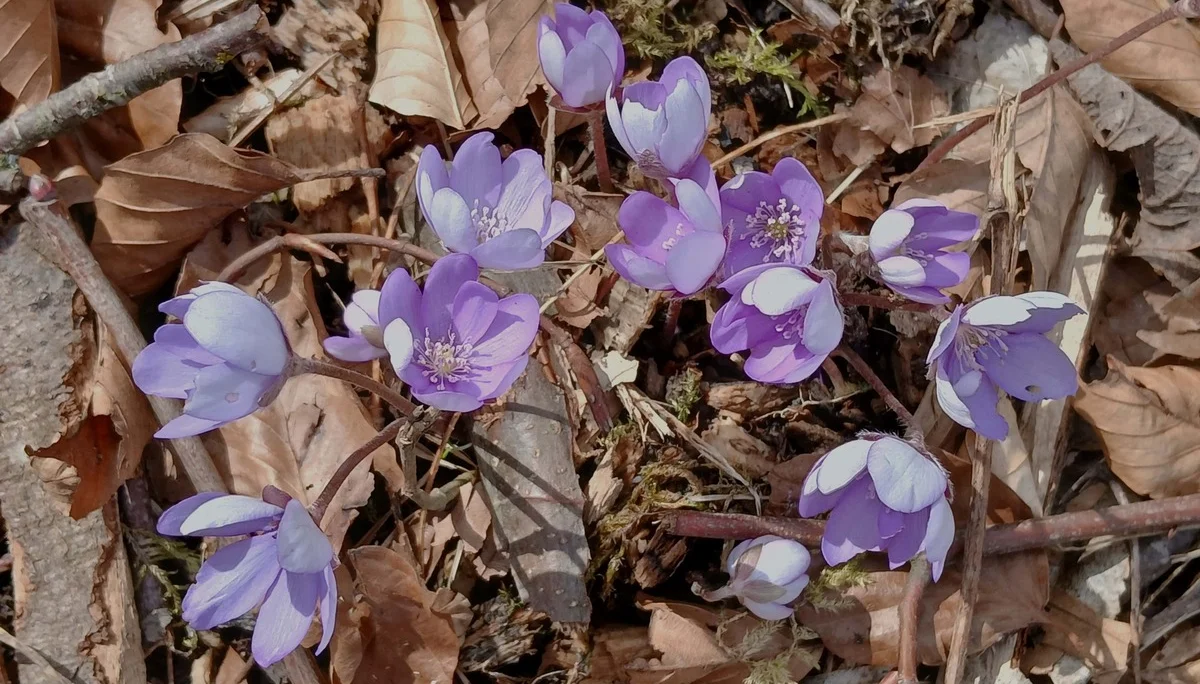 © DAV Augsburg Senioren