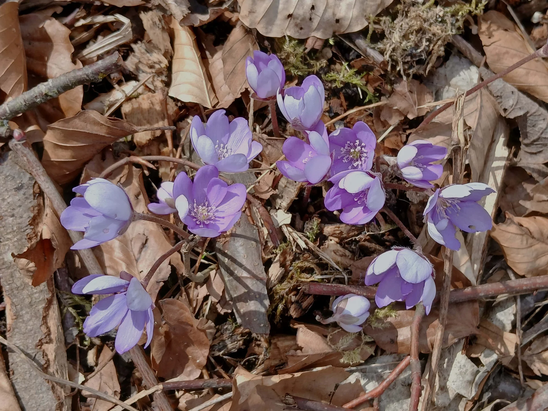 © DAV Augsburg Senioren