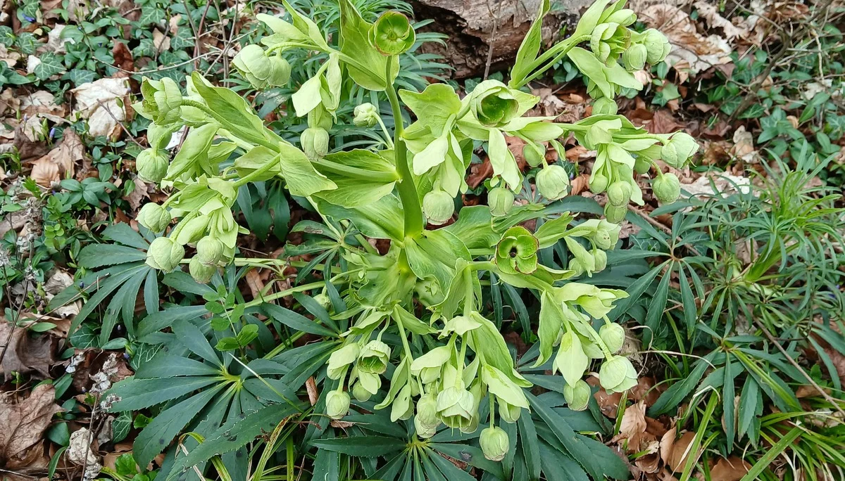 © DAV Augsburg Senioren