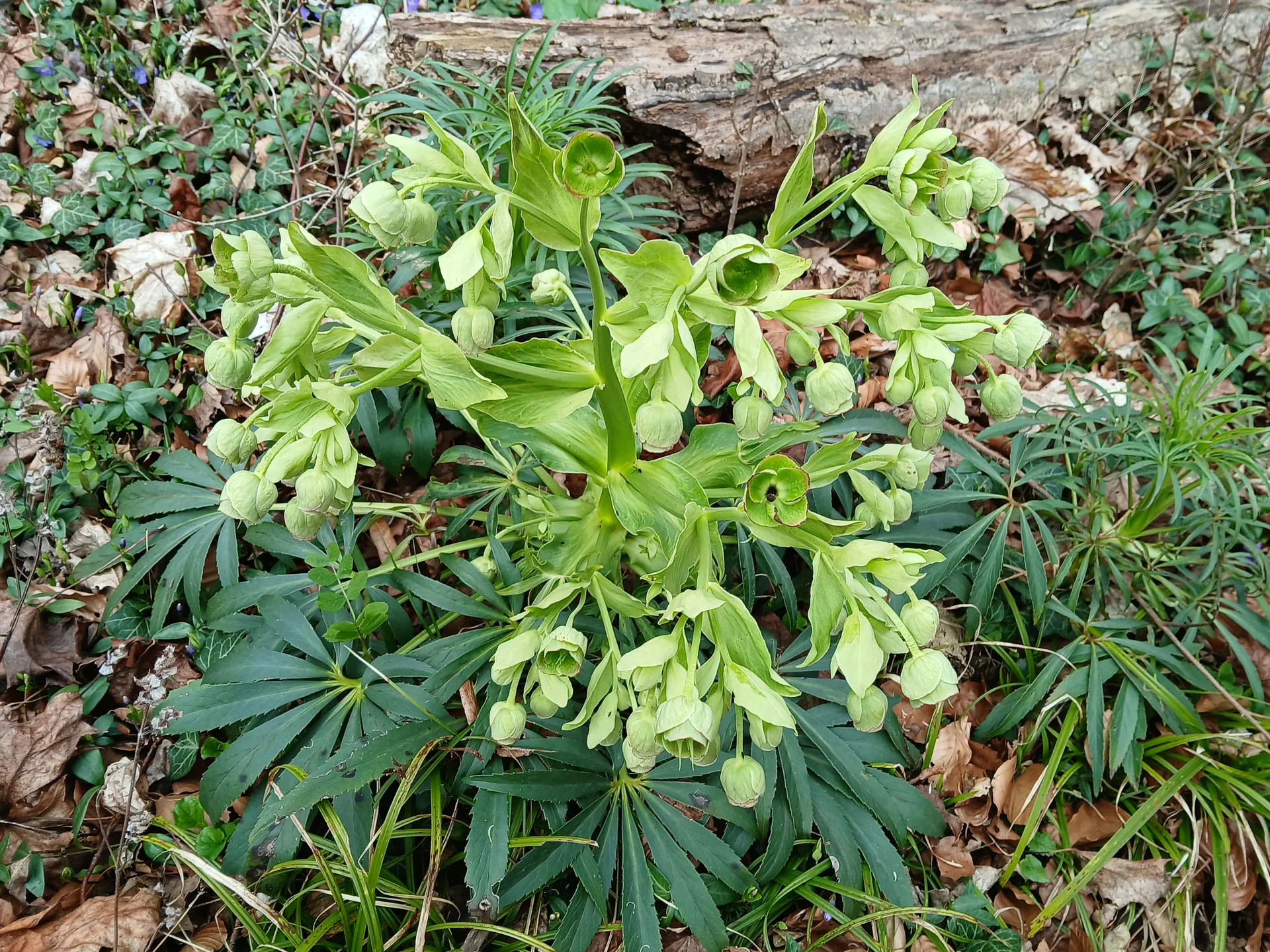 © DAV Augsburg Senioren