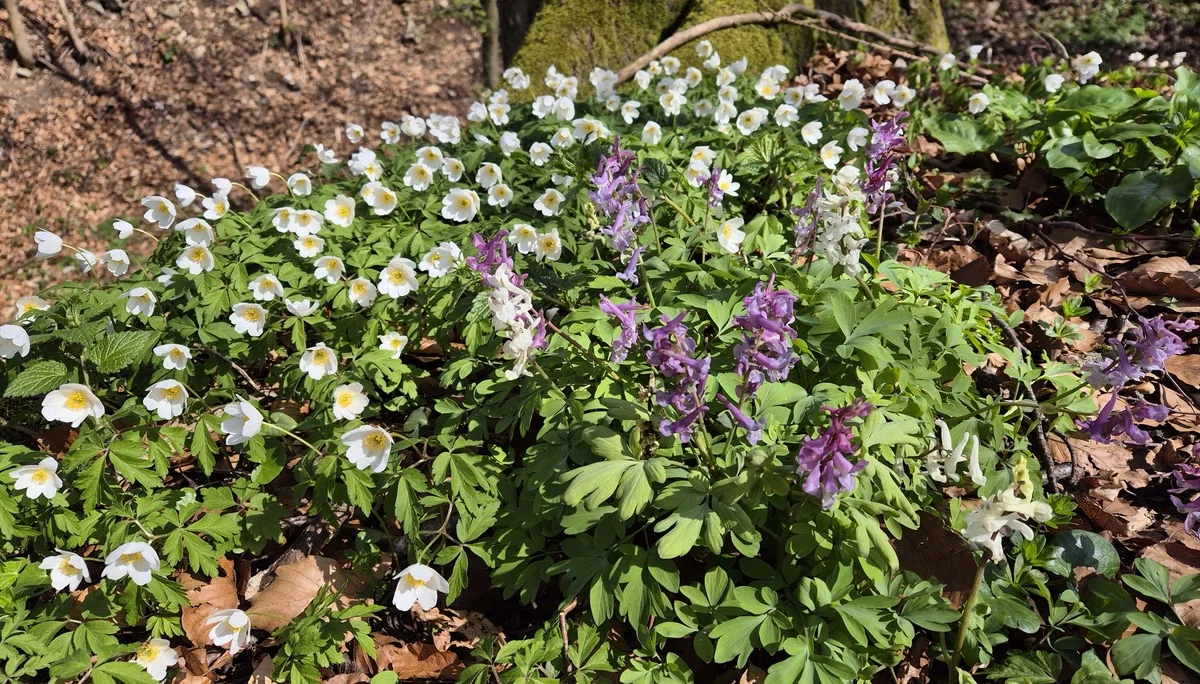 © DAV Augsburg Senioren