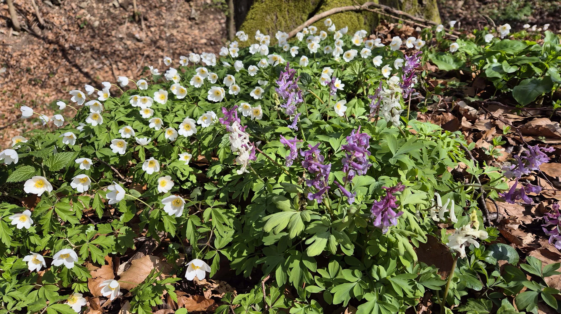 © DAV Augsburg Senioren