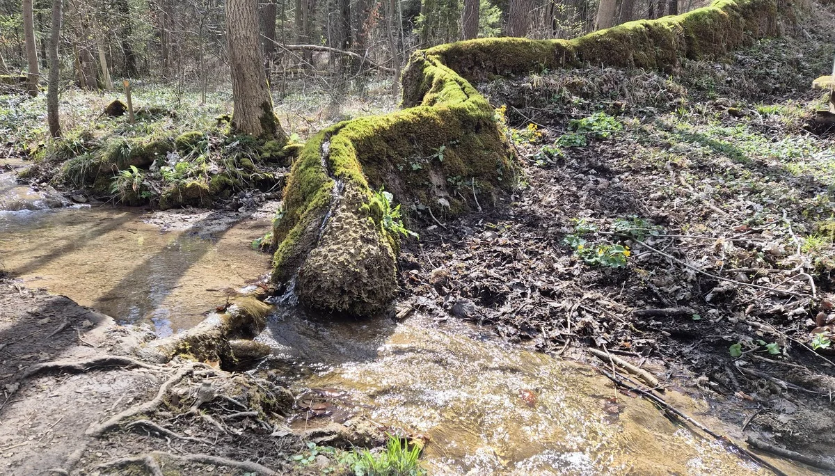 © DAV Augsburg Senioren