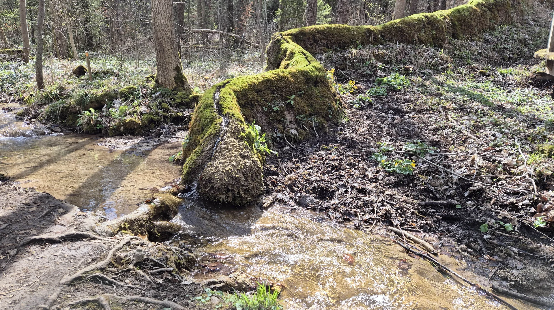 © DAV Augsburg Senioren