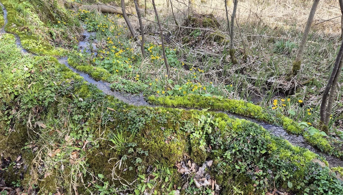 © DAV Augsburg Senioren