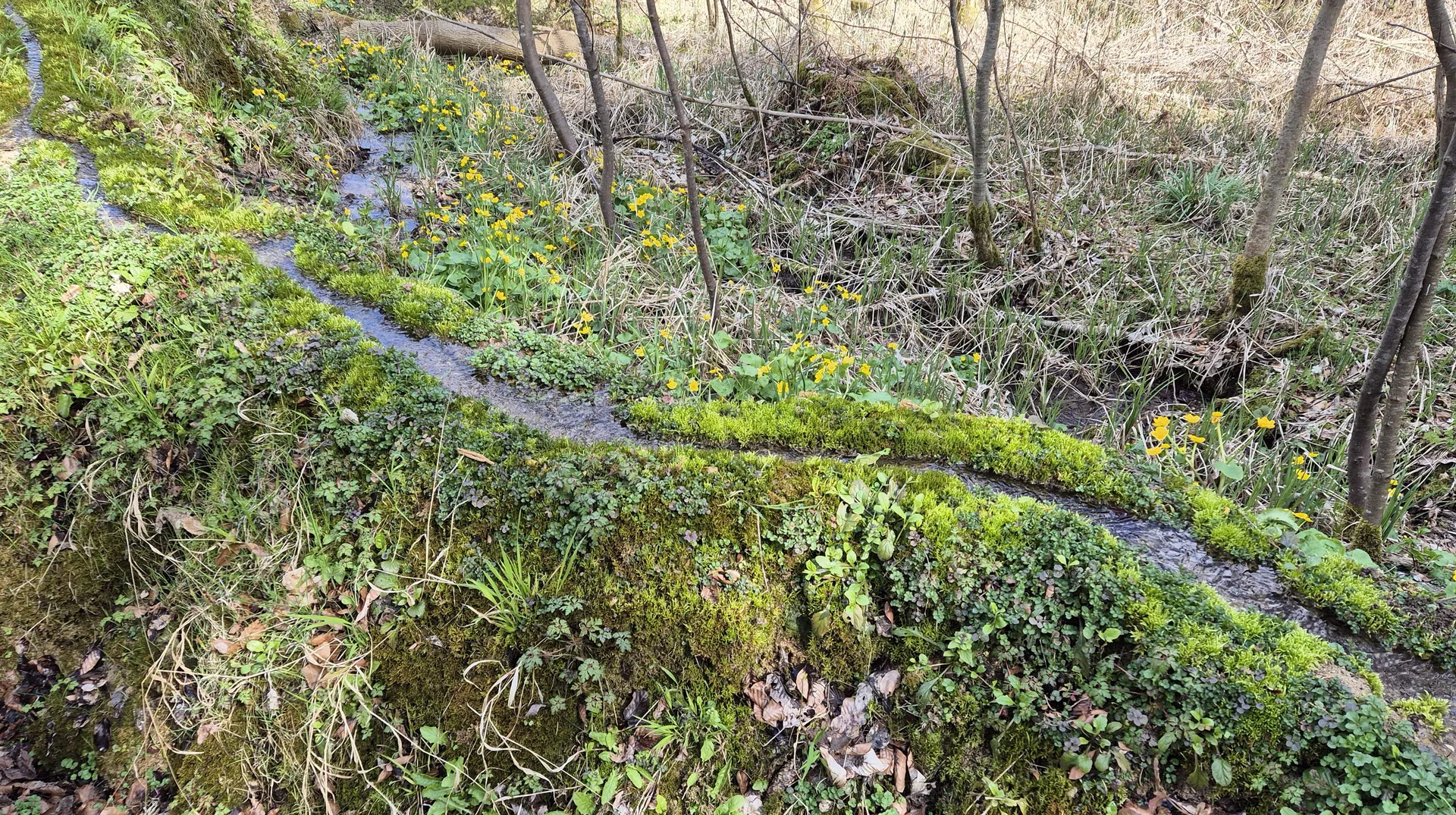 © DAV Augsburg Senioren