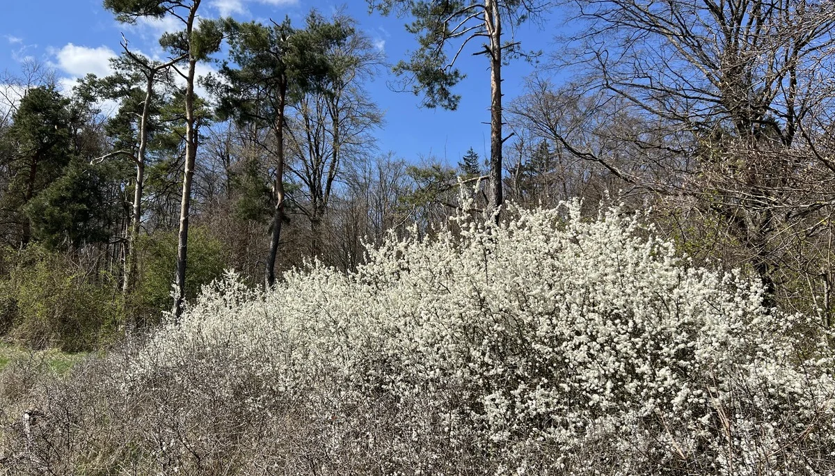 © DAV Augsburg Senioren