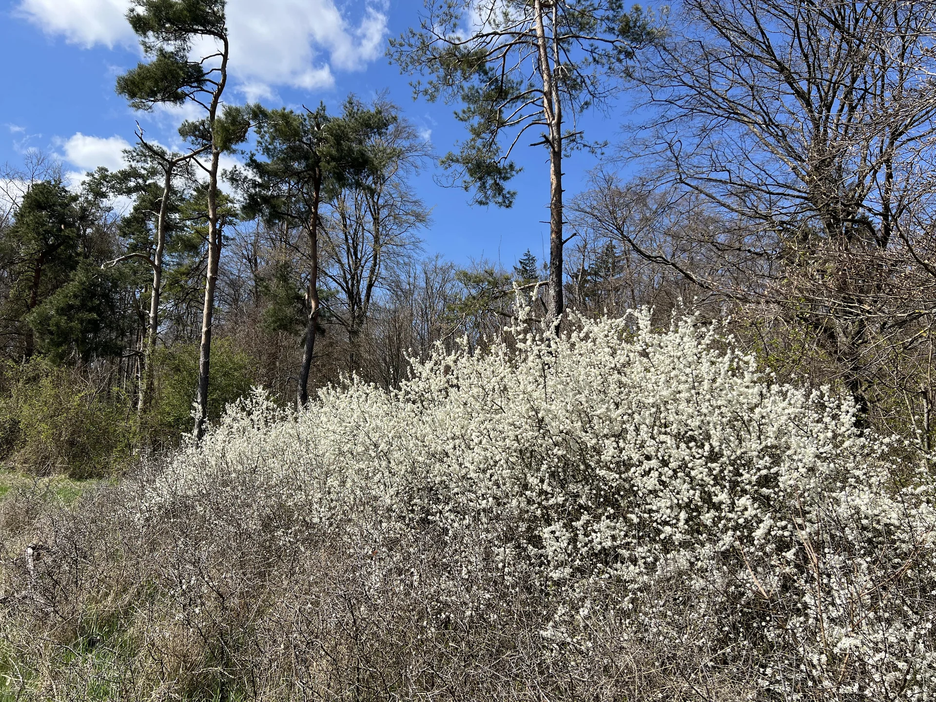 © DAV Augsburg Senioren