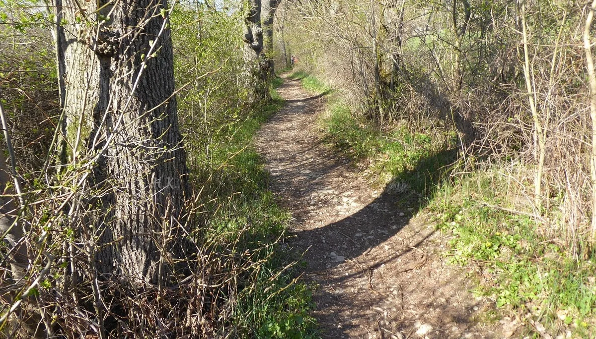 © DAV Augsburg Senioren