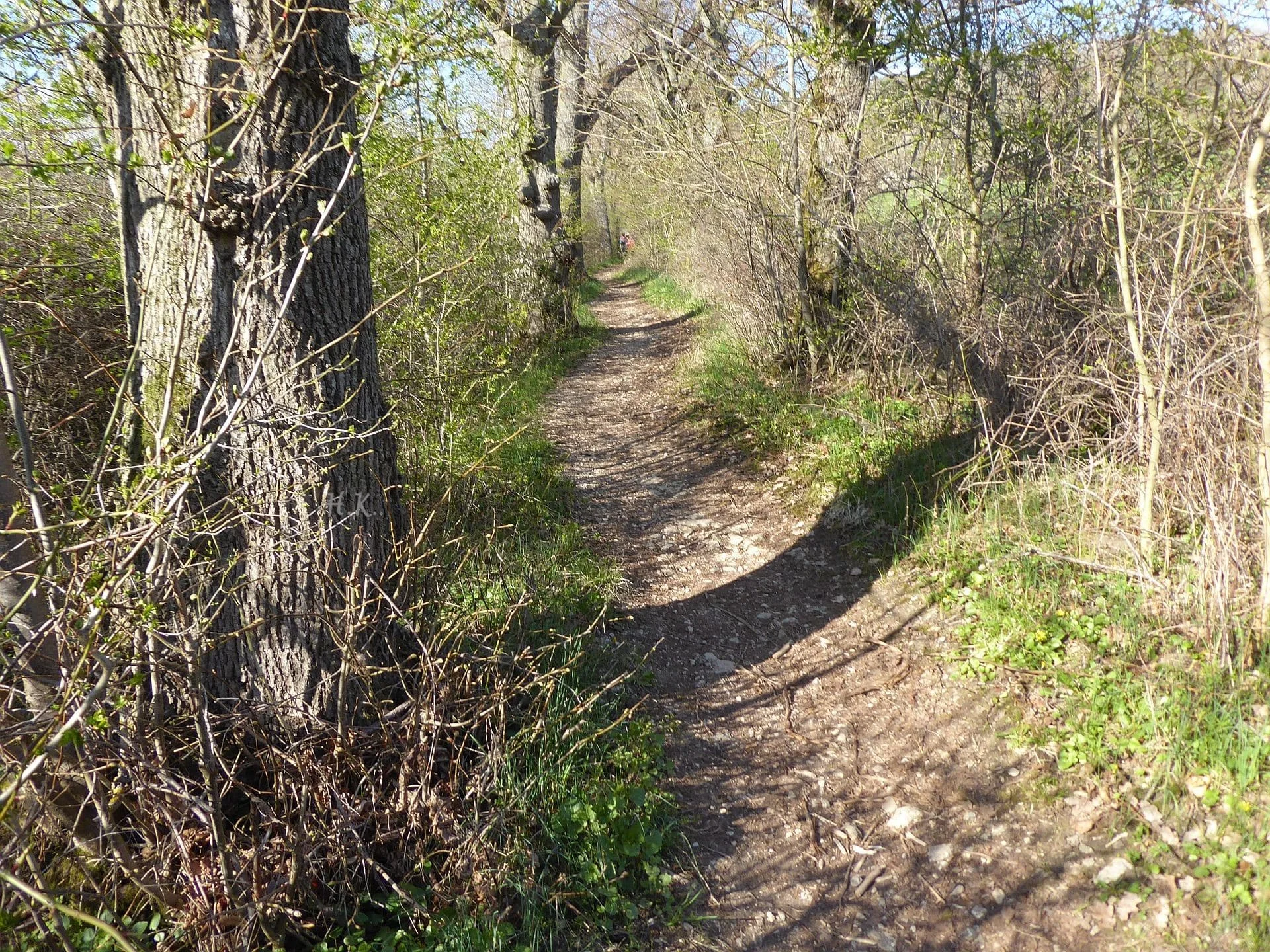 © DAV Augsburg Senioren