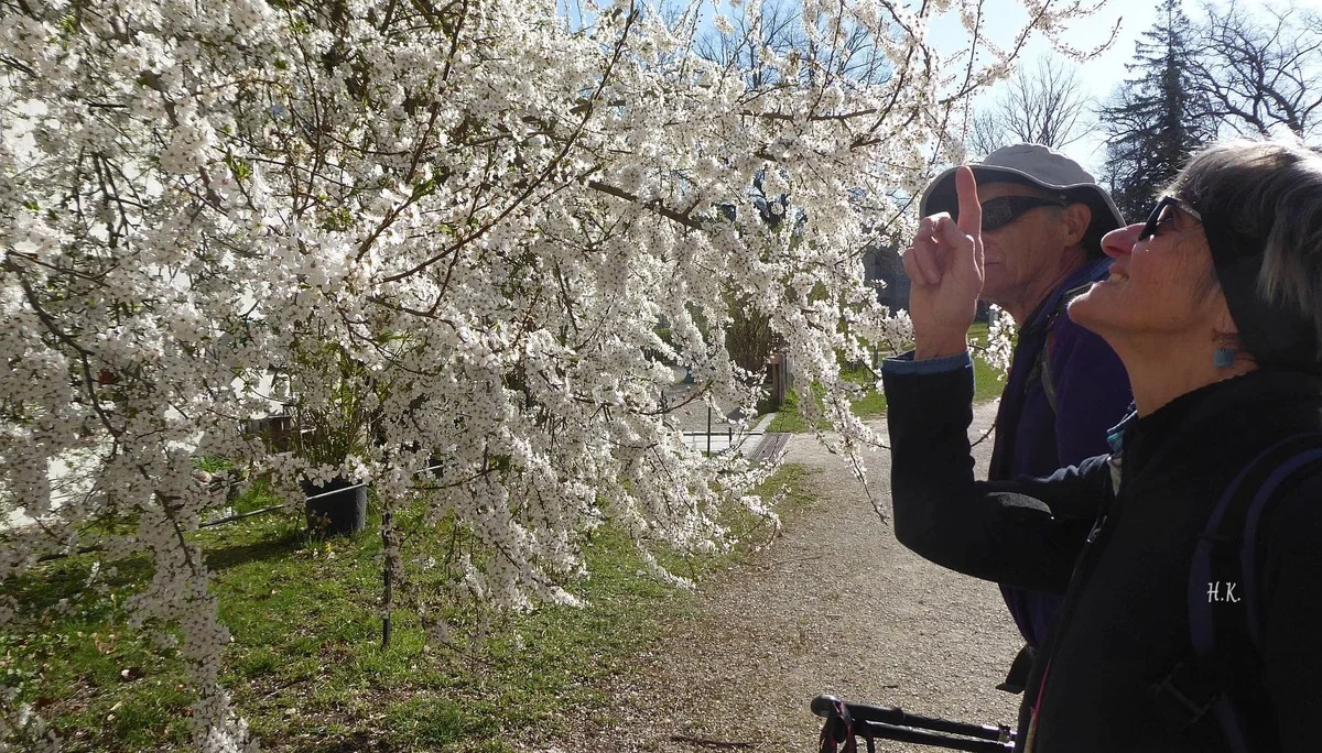 © DAV Augsburg Senioren