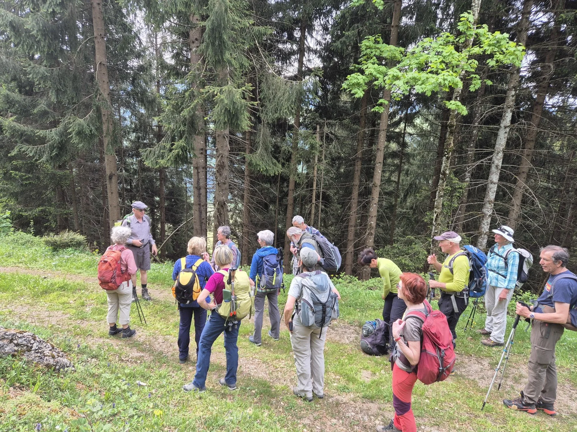 Die Natur kurz erklärt | © DAV Augsburg Senioren
