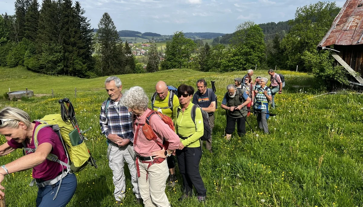 Aufstieg von Wengen zur Salamser Höhe - über eine Kuhweide oberhalb von Tronsberg | © DAV Augsburg Senioren