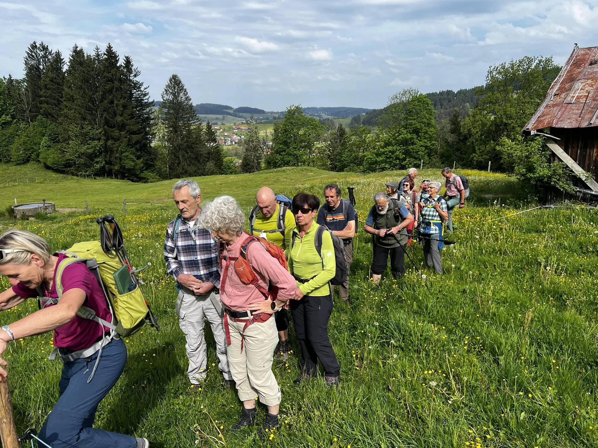 Aufstieg von Wengen zur Salamser Höhe - über eine Kuhweide oberhalb von Tronsberg | © DAV Augsburg Senioren