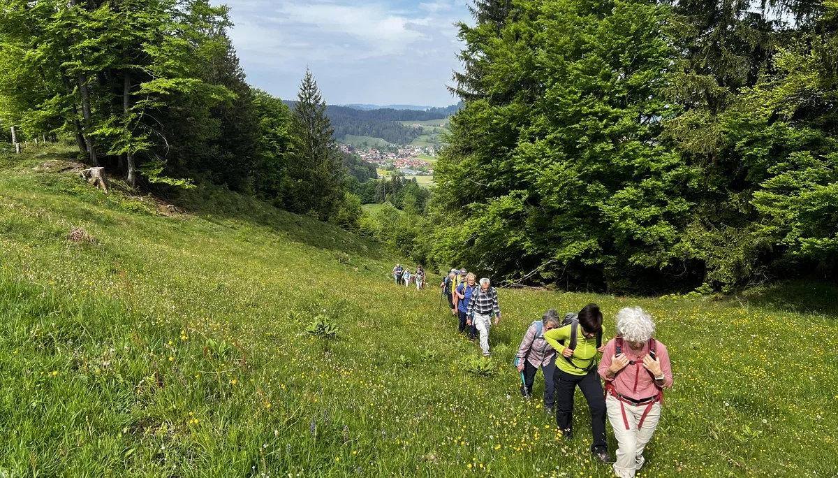  Aufstieg von Wengen zur Salamser Höhe - hinauf auf den Kamm | © DAV Augsburg Senioren