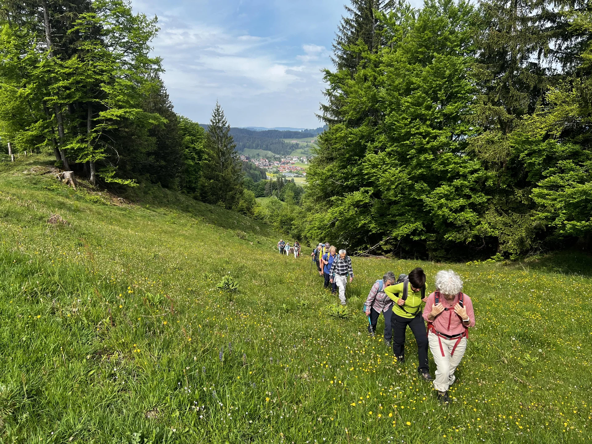  Aufstieg von Wengen zur Salamser Höhe - hinauf auf den Kamm | © DAV Augsburg Senioren