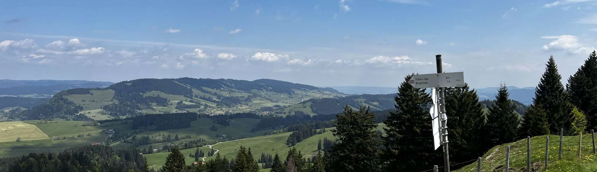 Von der Salmaser zur Thaler Höhe - am Abzweig zur Trähersalpe, Blick nach Nordosten zum Hauchenberg | © DAV Augsburg Senioren