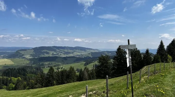 Von der Salmaser zur Thaler Höhe - am Abzweig zur Trähersalpe, Blick nach Nordosten zum Hauchenberg | © DAV Augsburg Senioren