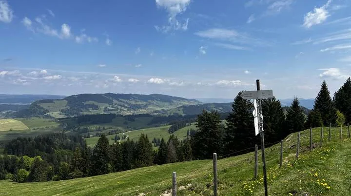 Von der Salmaser zur Thaler Höhe - am Abzweig zur Trähersalpe, Blick nach Nordosten zum Hauchenberg | © DAV Augsburg Senioren