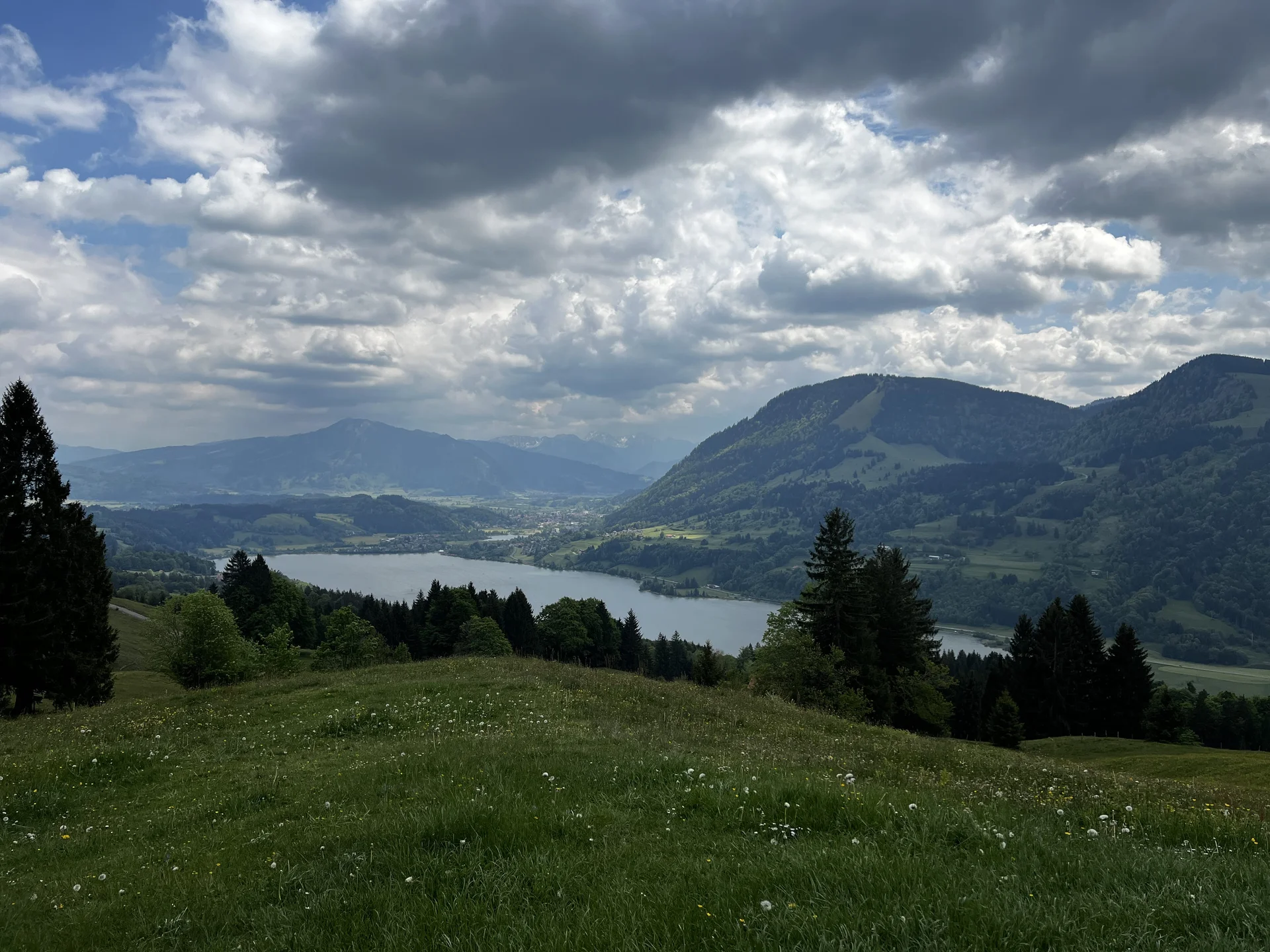 Zwischen Thaler Höhe und Siedelalpe - am Aussichtspunkt Alpseeblick, Blick auf Alpsee, Immenstädter und Gschwender Horn | © DAV Augsburg Senioren