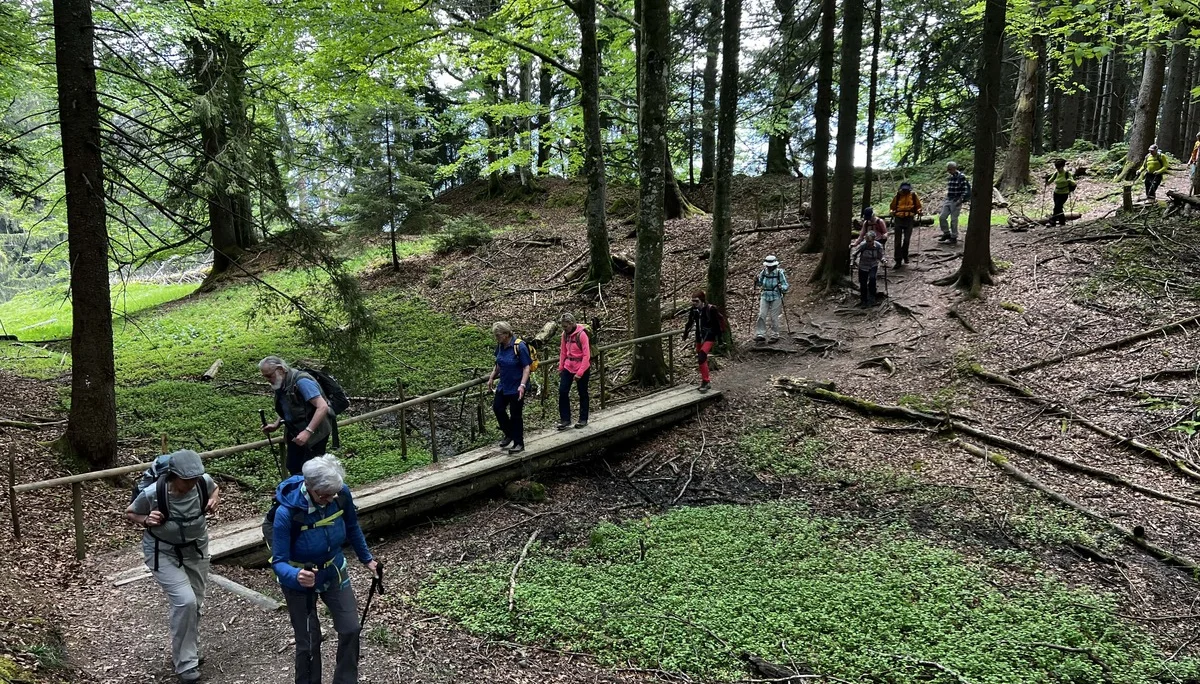 Von der Salmaser zur Thaler Höhe - ein kleiner Taleinschnitt | © DAV Augsburg Senioren