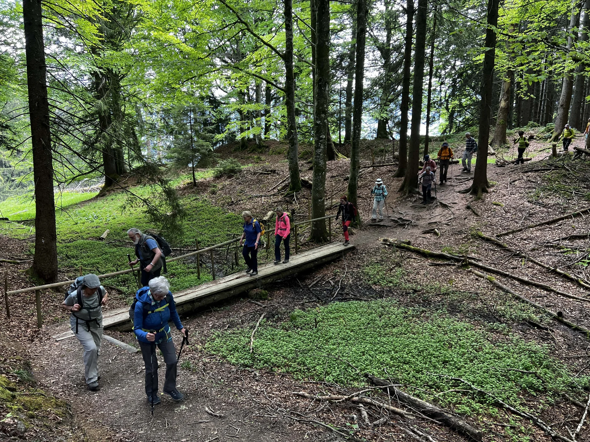 Von der Salmaser zur Thaler Höhe - ein kleiner Taleinschnitt | © DAV Augsburg Senioren