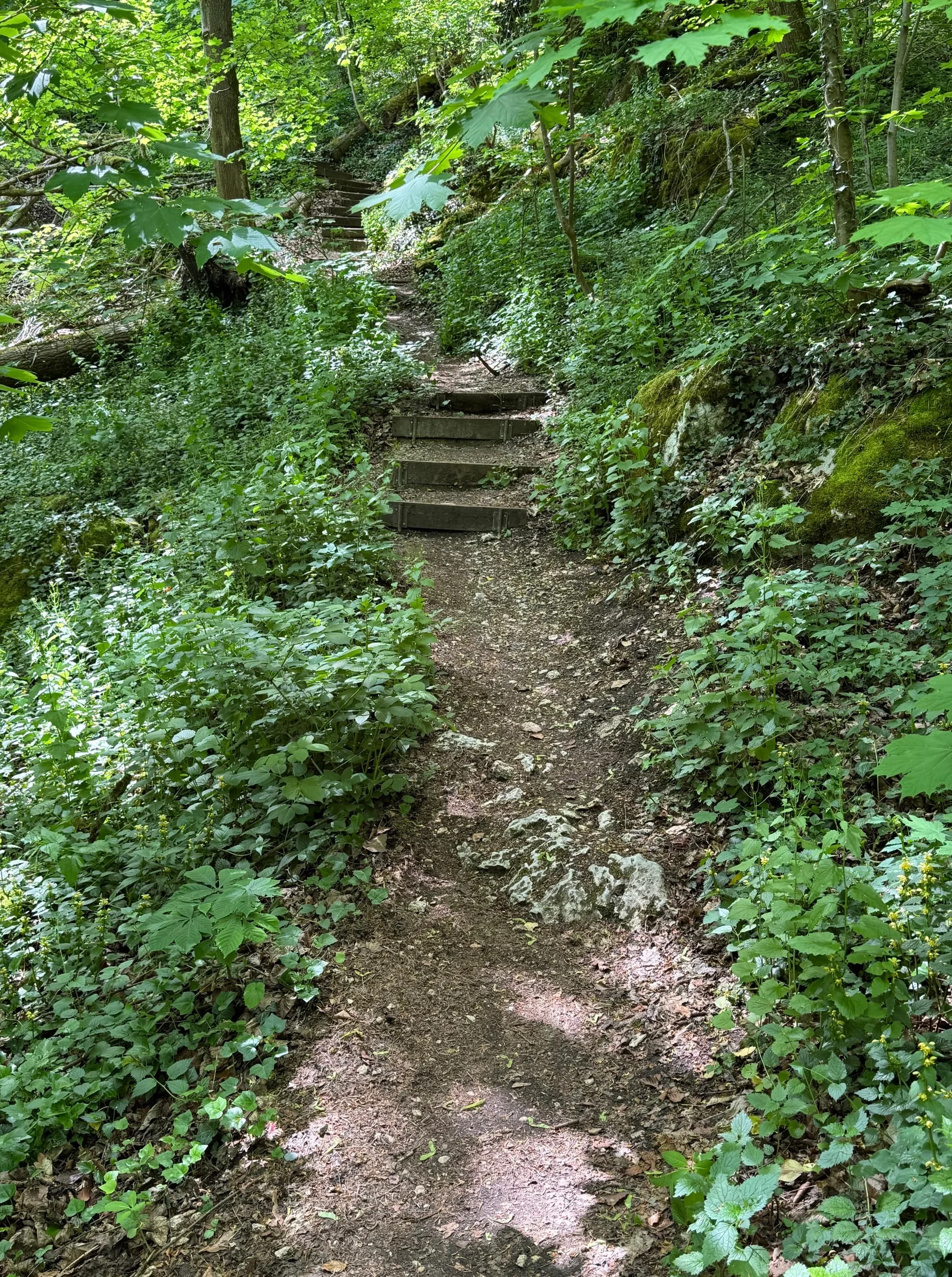 © DAV Augsburg Senioren