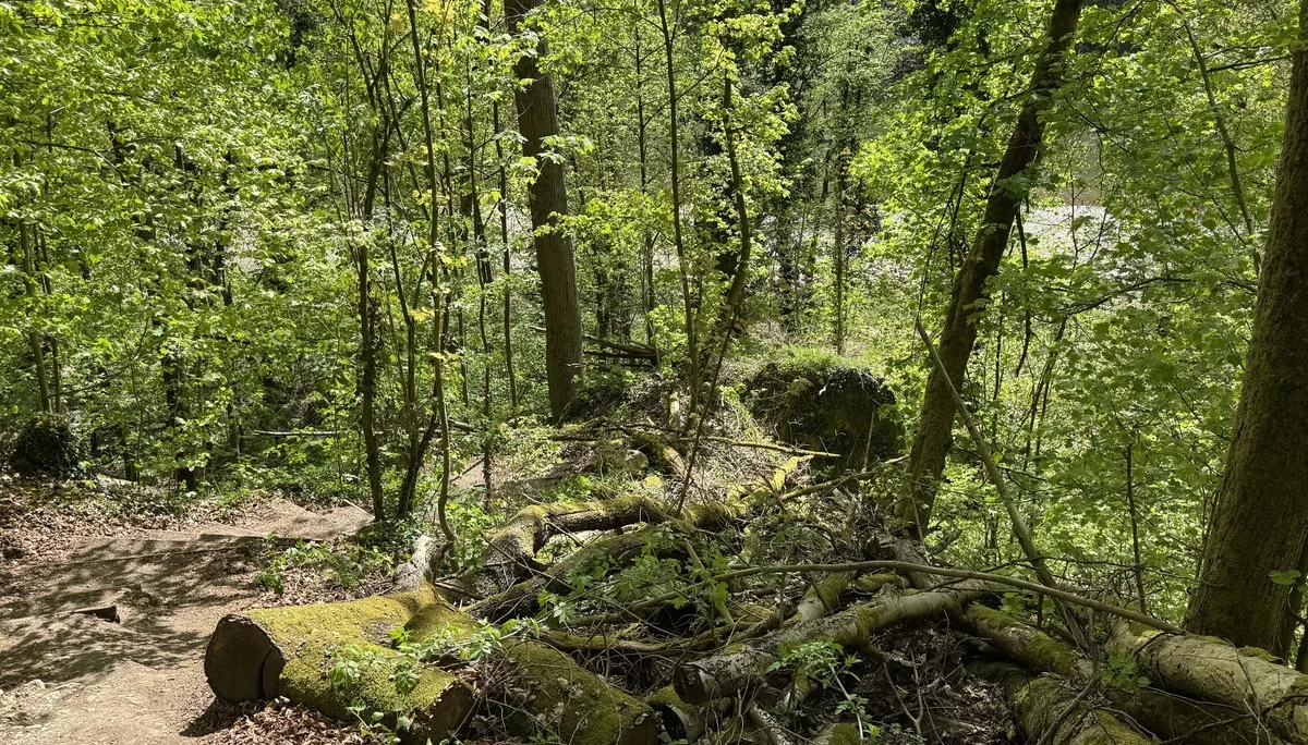 © DAV Augsburg Senioren