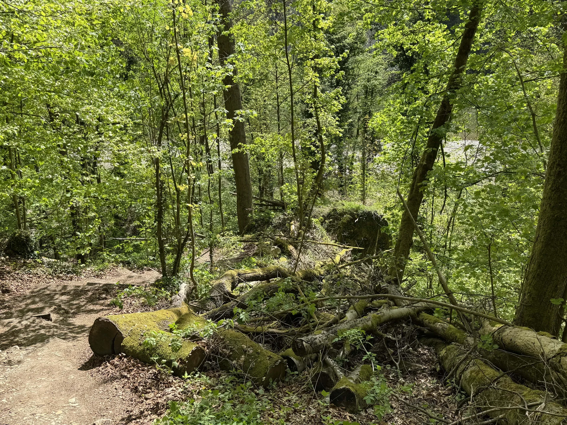 © DAV Augsburg Senioren