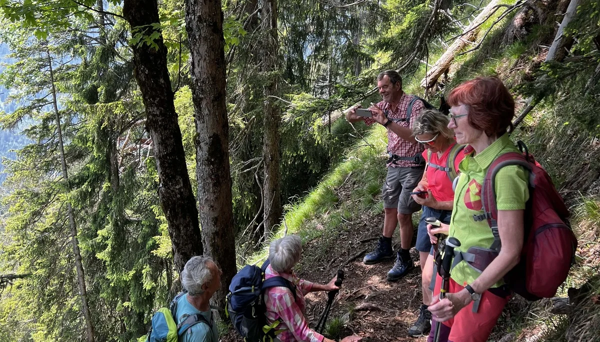Am Weg nach der Passage der steilen Wiese unterhalb des Gipfels | © DAV Augsburg Senioren