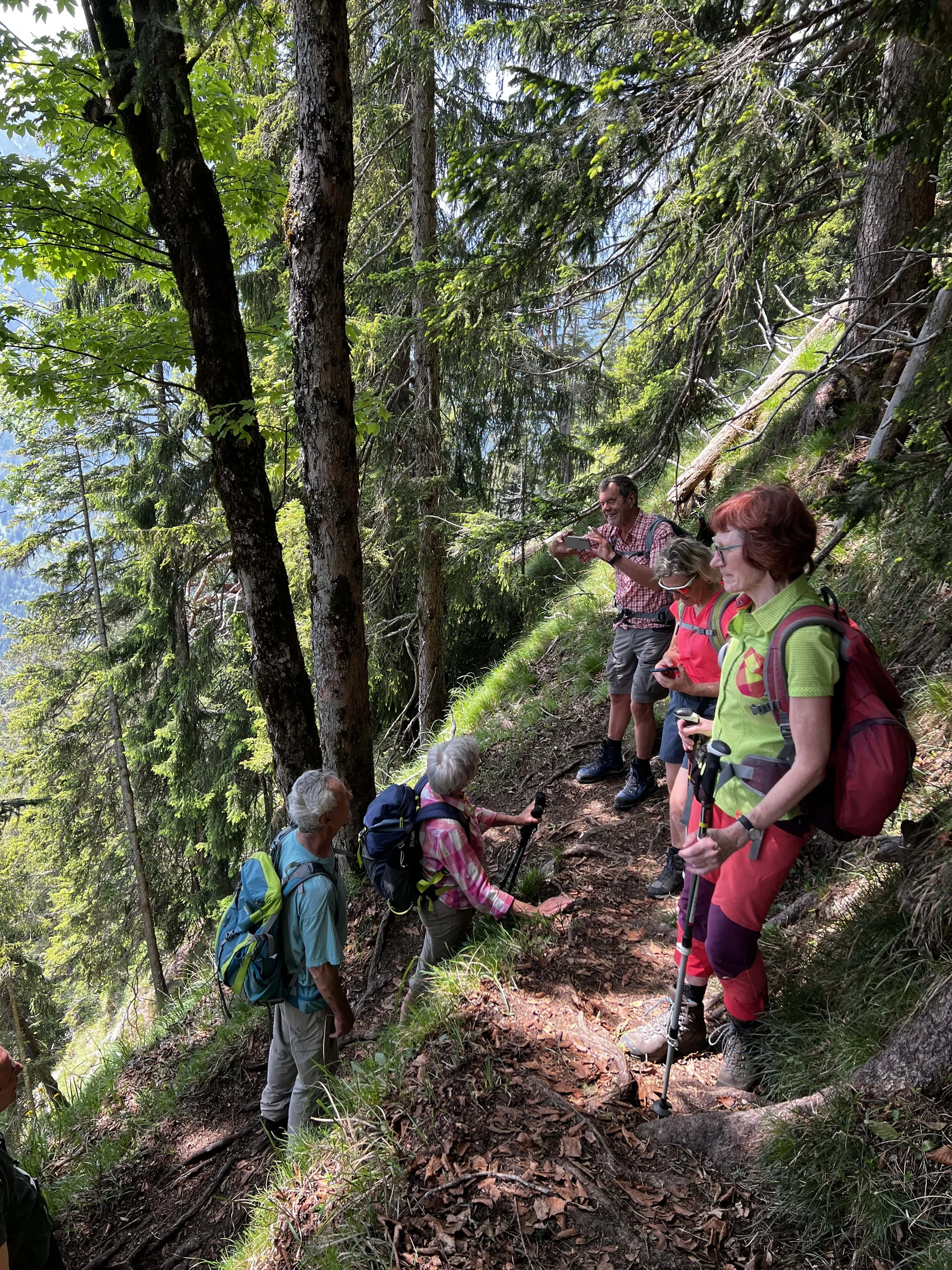 Am Weg nach der Passage der steilen Wiese unterhalb des Gipfels | © DAV Augsburg Senioren