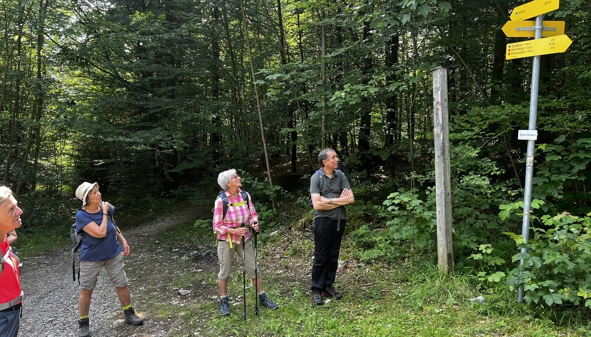 Wegweiser bei P. 800 am Aufstieg zum Schafkopf | © DAV Augsburg Senioren