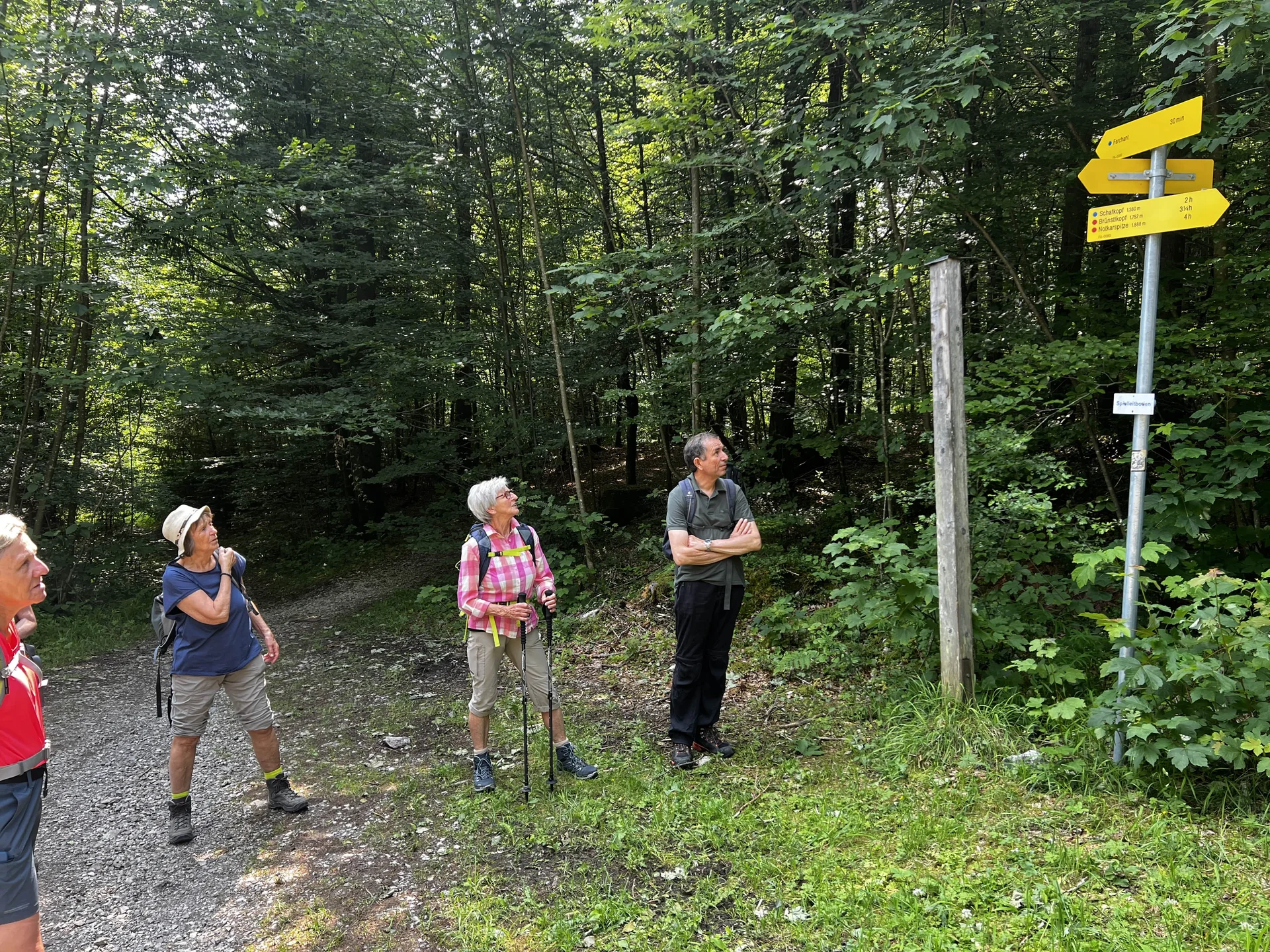 Wegweiser bei P. 800 am Aufstieg zum Schafkopf | © DAV Augsburg Senioren