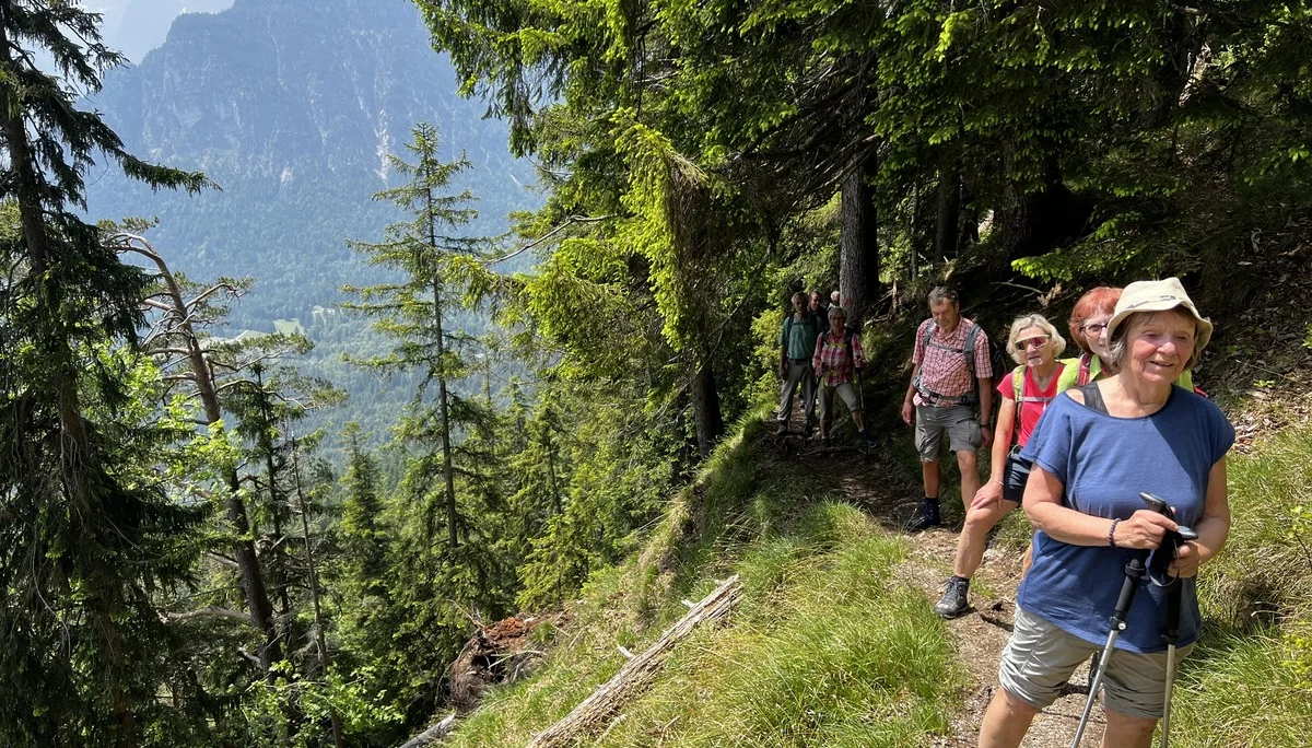 Am Weg nach der Passage der steilen Wiese unterhalb des Gipfels | © DAV Augsburg Senioren