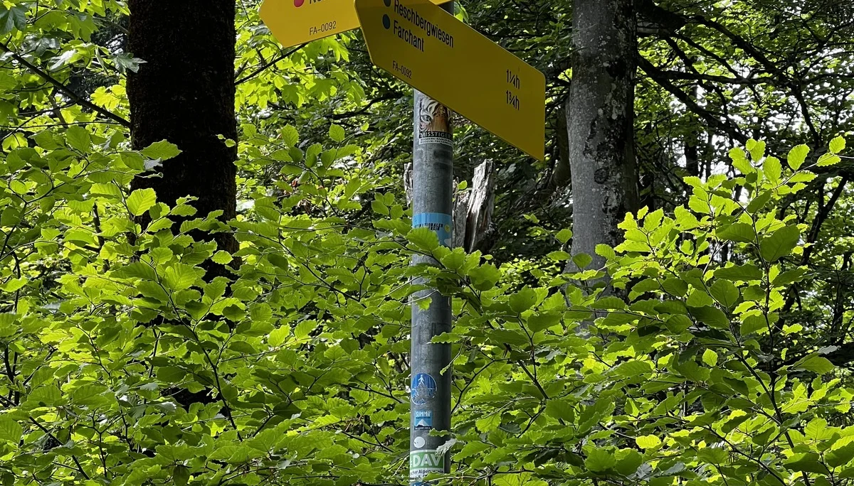 Wegweiser beim Giessenbachsattel | © DAV Augsburg Senioren