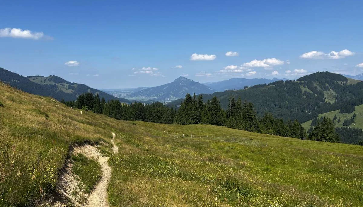 Am Rückweg von der Höllritzer Alpe - Blumenwiesen bei der Birkach-Alpe, Blick aufs Illertal, im Hintergrund der Grünten | © DAV Augsburg Senioren