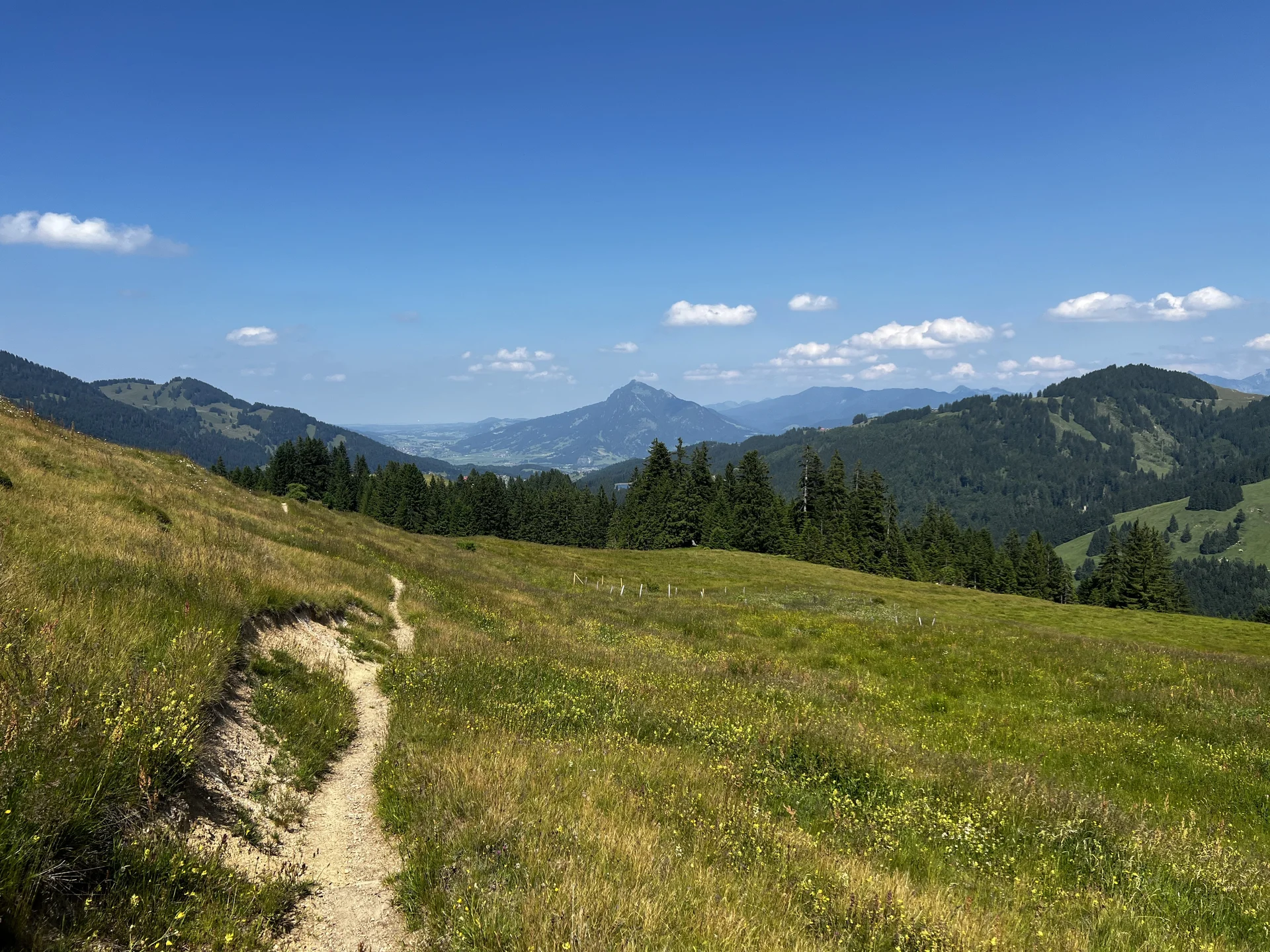 Am Rückweg von der Höllritzer Alpe - Blumenwiesen bei der Birkach-Alpe, Blick aufs Illertal, im Hintergrund der Grünten | © DAV Augsburg Senioren