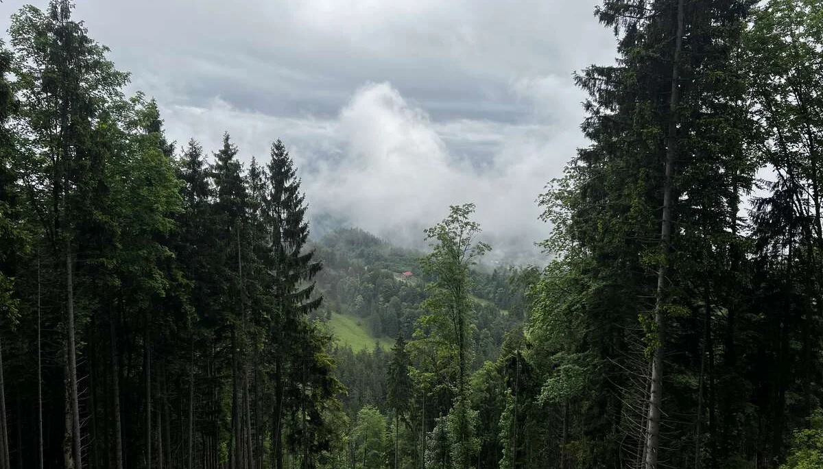 Am Abstieg vom Salober - Blick auf die noch ferne Salober-Alm | © DAV Augsburg Senioren