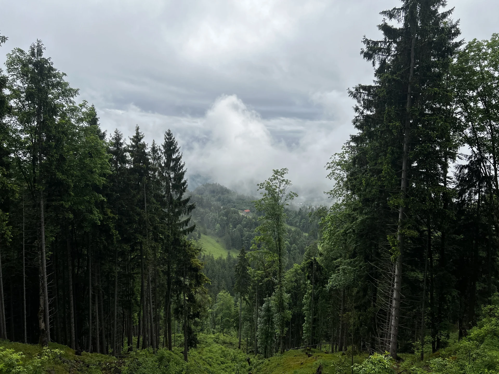 Am Abstieg vom Salober - Blick auf die noch ferne Salober-Alm | © DAV Augsburg Senioren