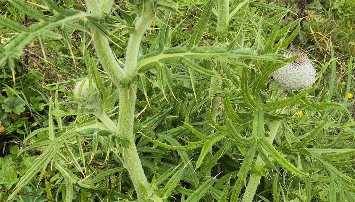 © DAV Augsburg Senioren