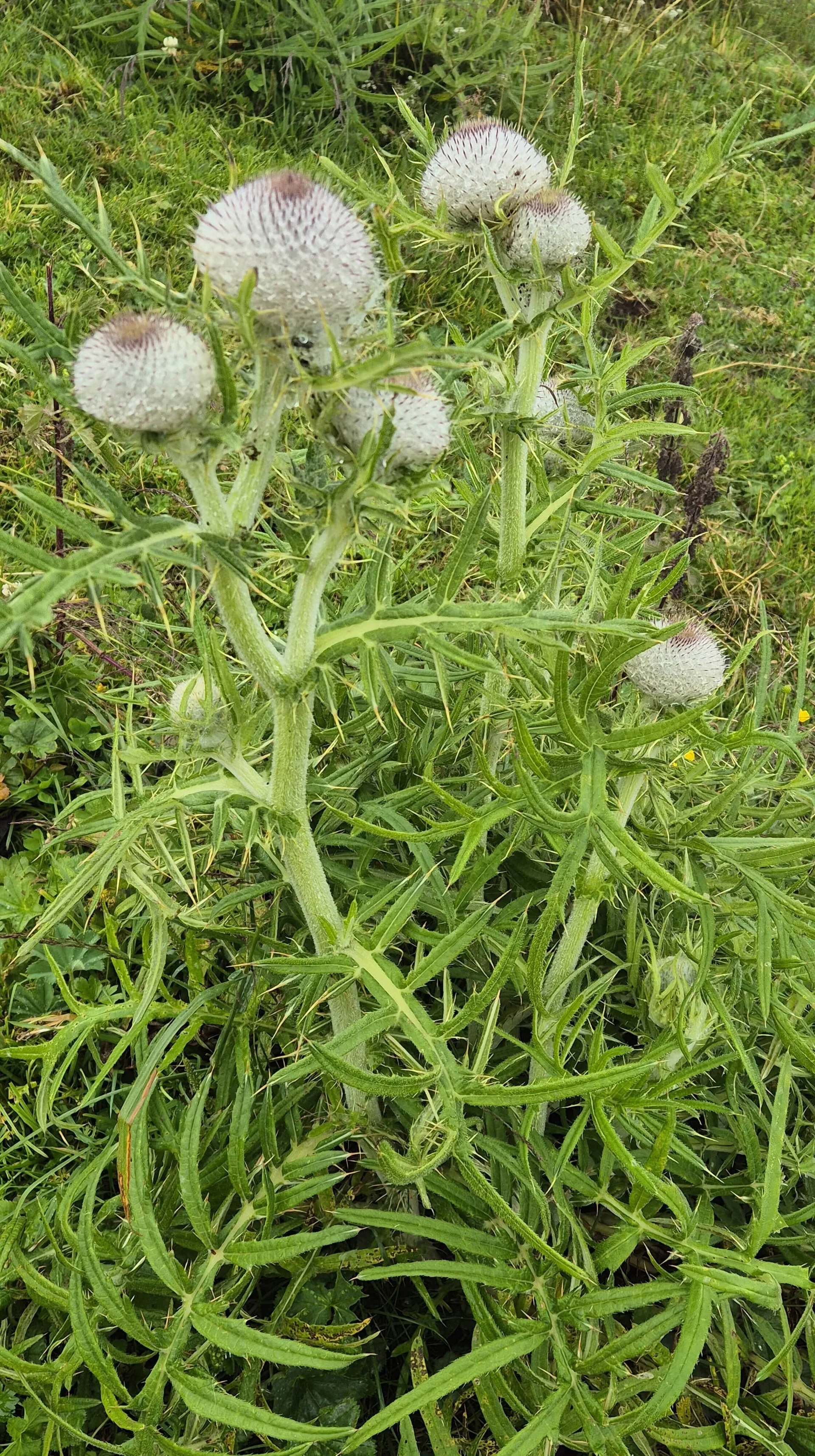 © DAV Augsburg Senioren