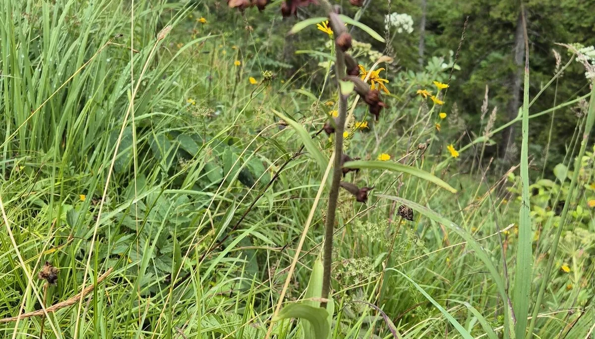 © DAV Augsburg Senioren