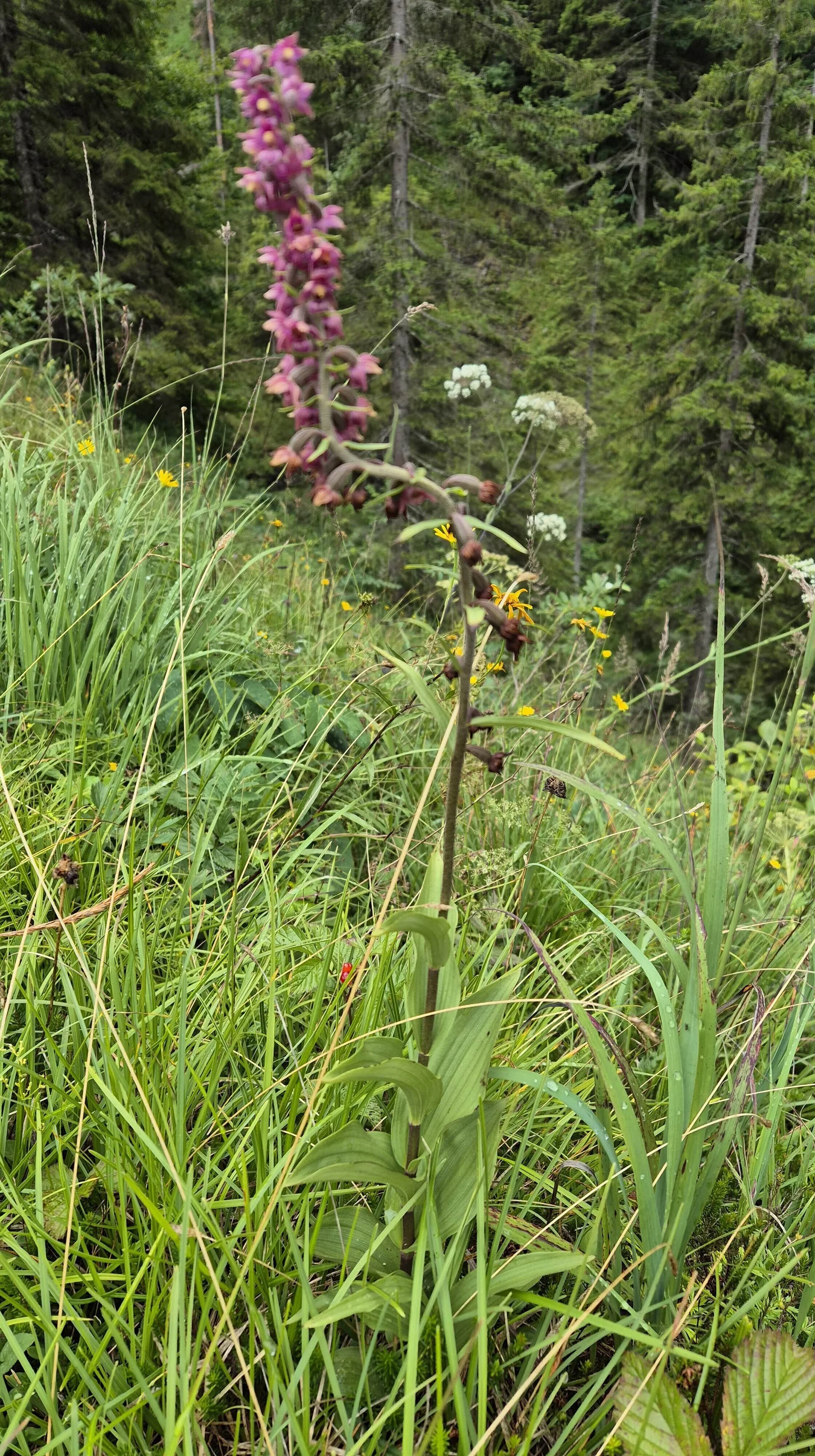 © DAV Augsburg Senioren