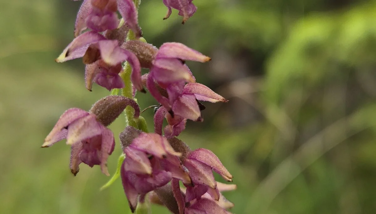 © DAV Augsburg Senioren