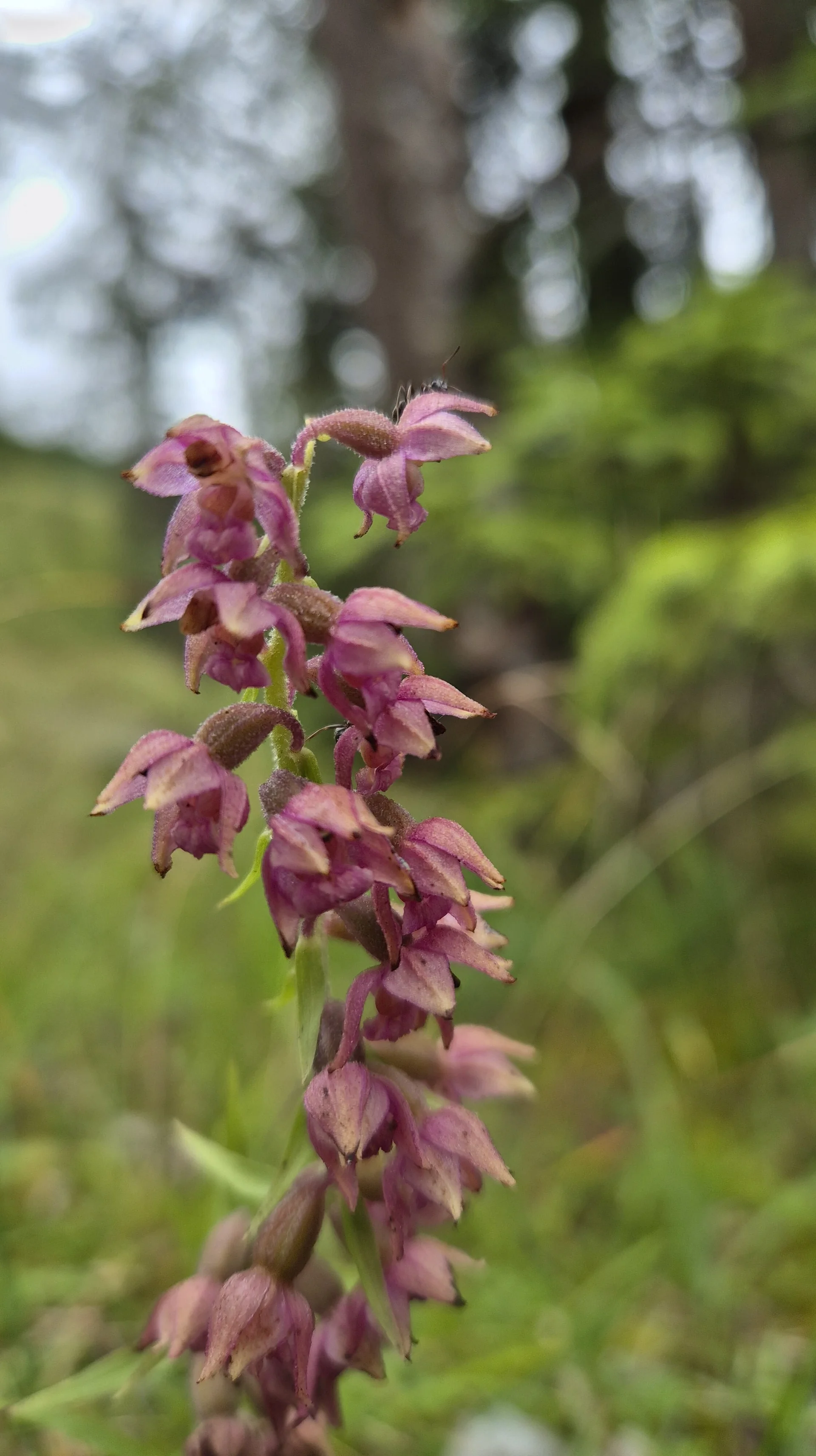 © DAV Augsburg Senioren